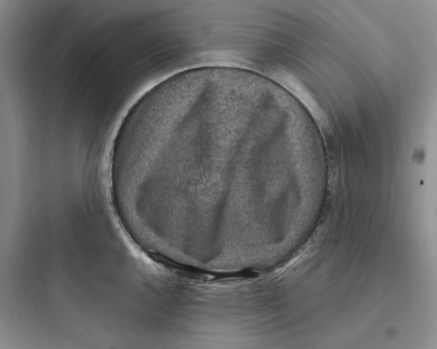 X0000097601144200803211654