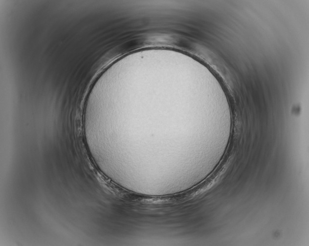 X0000097601145200803211654