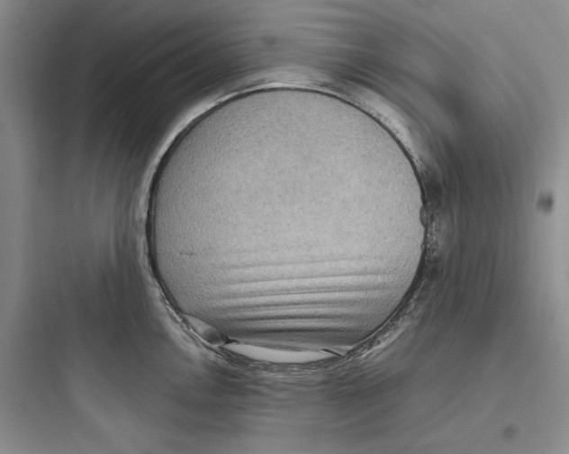 X0000097601146200803211654