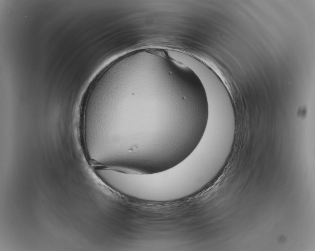 X0000097601147200803211654