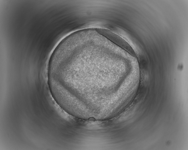 X0000097601148200803211654