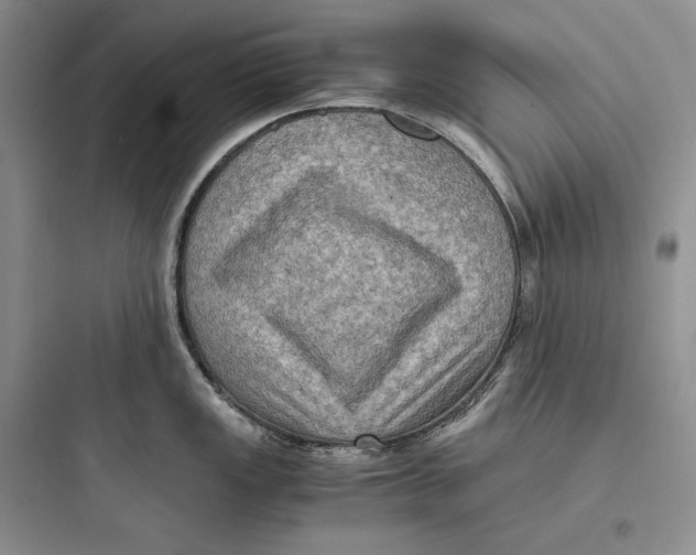 X0000097601149200803211654