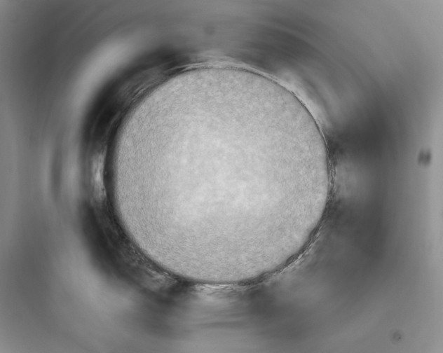 X0000097601150200803211654