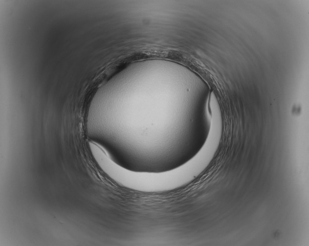 X0000097601154200803211653