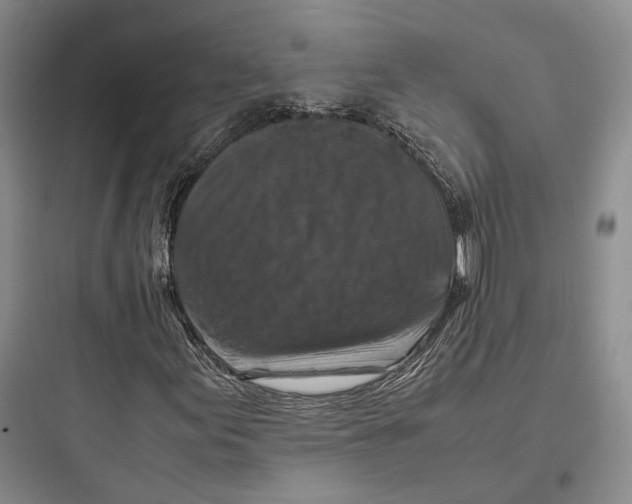 X0000097601155200803211653