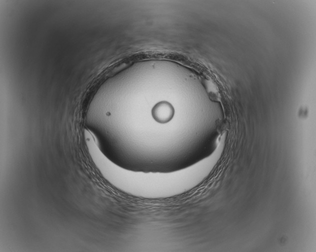 X0000097601157200803211653