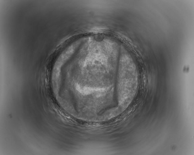 X0000097601158200803211653