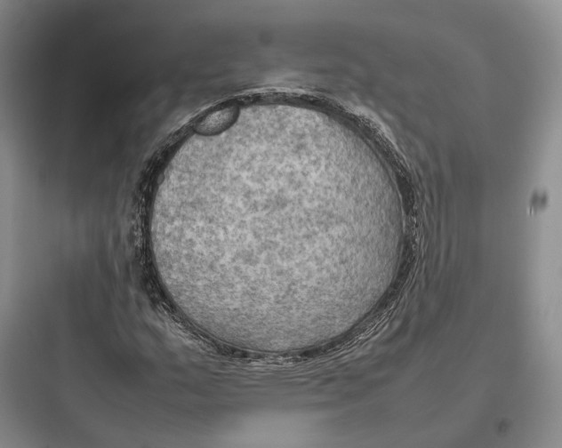 X0000097601159200803211653