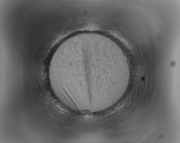 X0000097601160200803211653