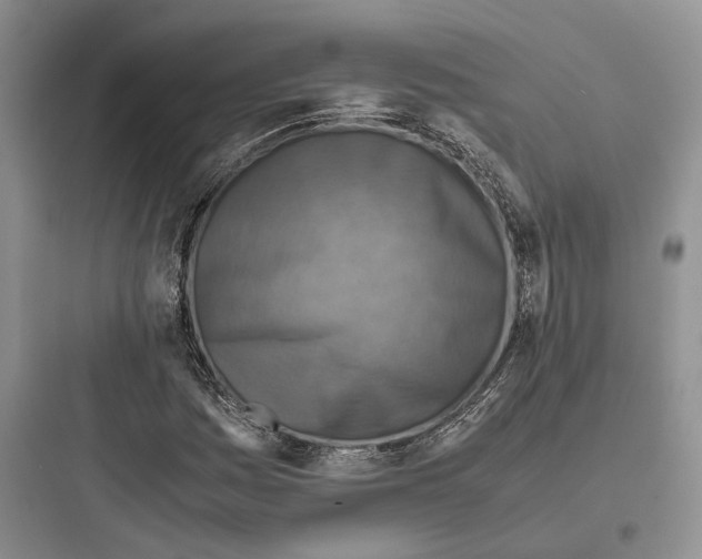 X0000097601161200803211653
