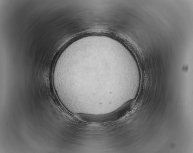 X0000097601162200803211653