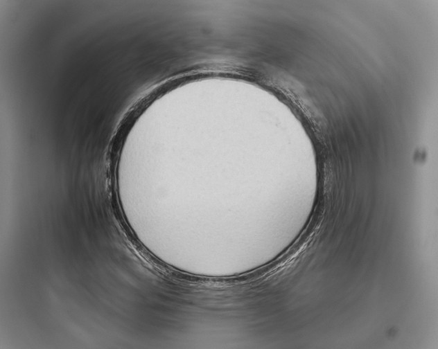 X0000097601164200803211653