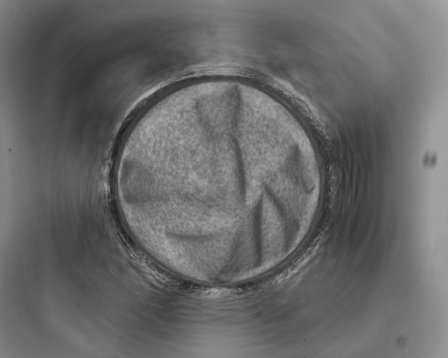 X0000097601166200803211653