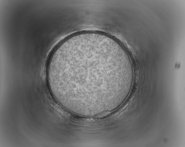 X0000097601167200803211653