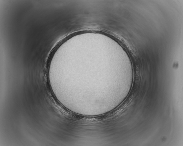 X0000097601168200803211653