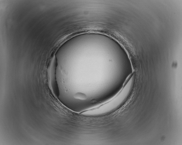 X0000097601169200803211653