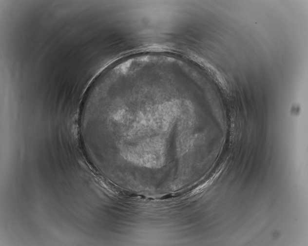 X0000097601170200803211653