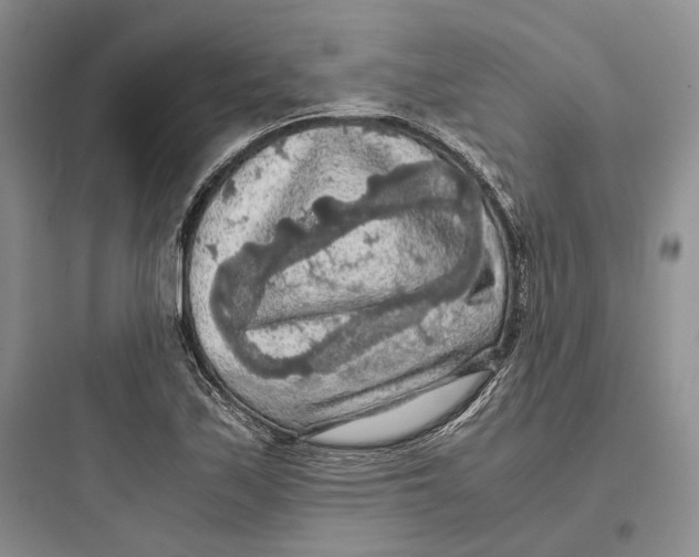 X0000097601171200803211653