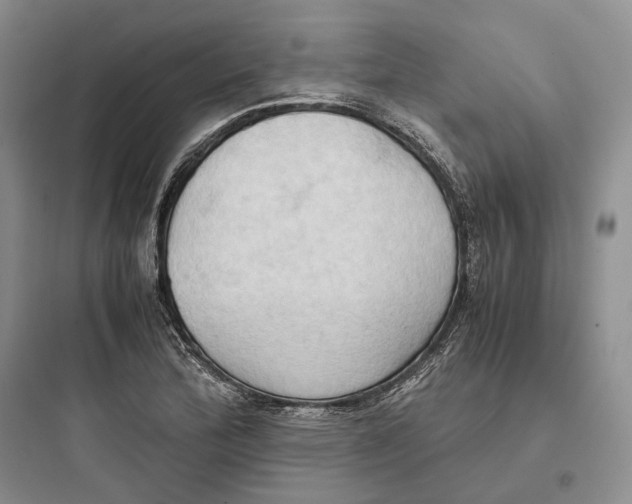 X0000097601172200803211653