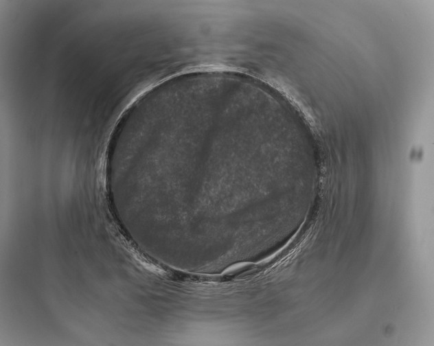 X0000097601173200803211653