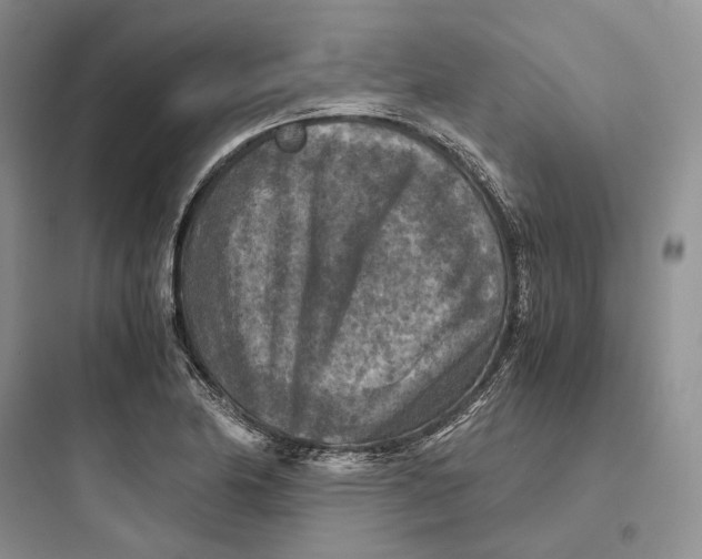 X0000097601174200803211653