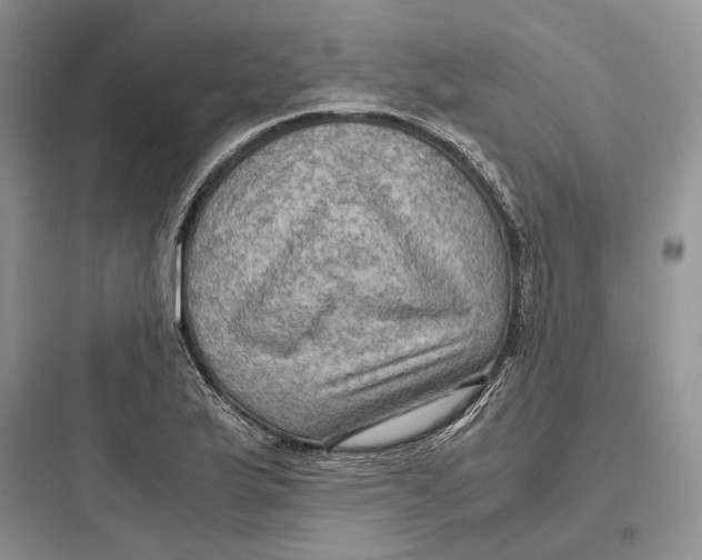 X0000097601175200803211653