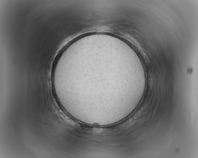 X0000097601176200803211653