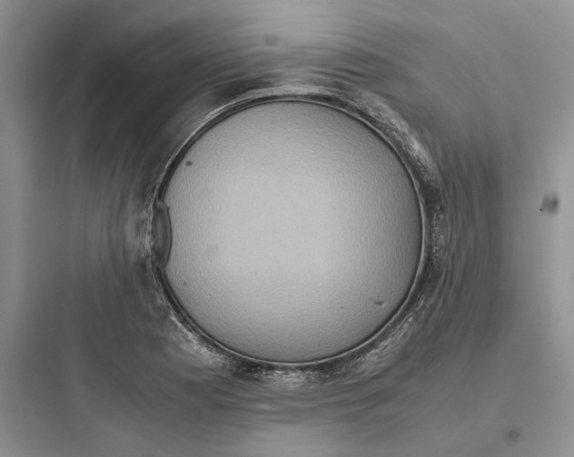 X0000097601177200803211653