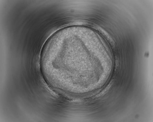 X0000097601178200803211653