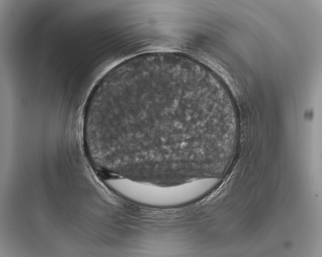 X0000097601179200803211653