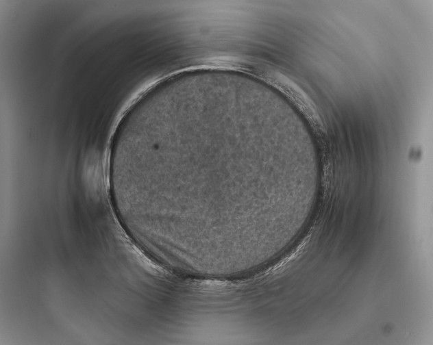 X0000097601180200803211653
