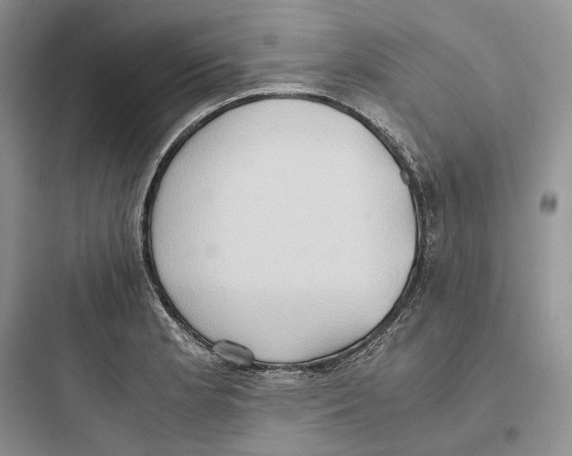X0000097601181200803211653