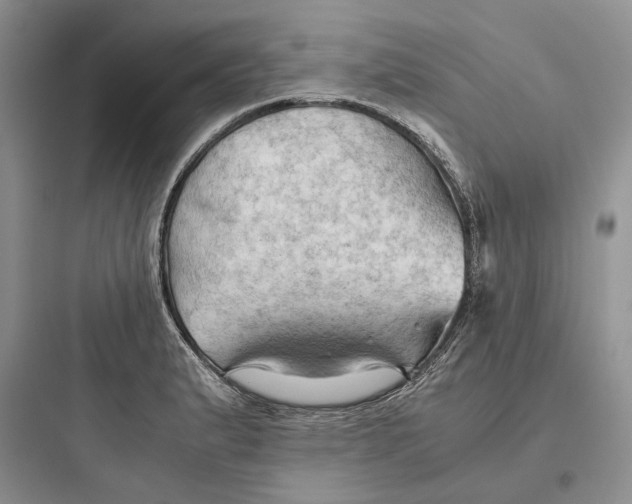 X0000097601183200803211653