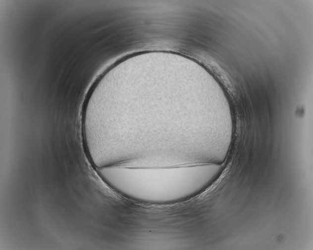X0000097601184200803211653