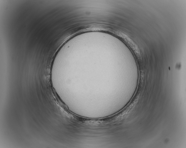 X0000097601185200803211652