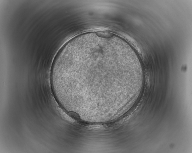 X0000097601186200803211652