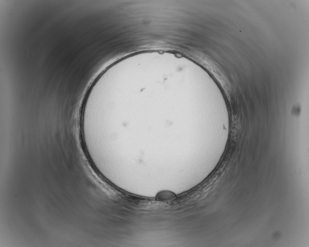 X0000097601187200803211652
