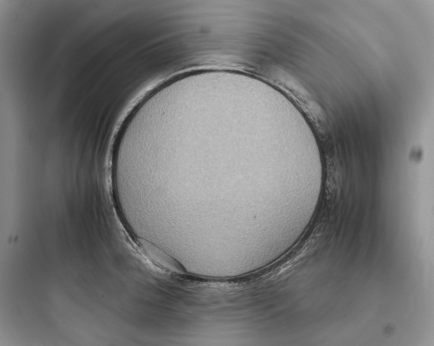 X0000097601188200803211652