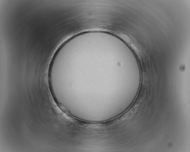 X0000097601189200803211652