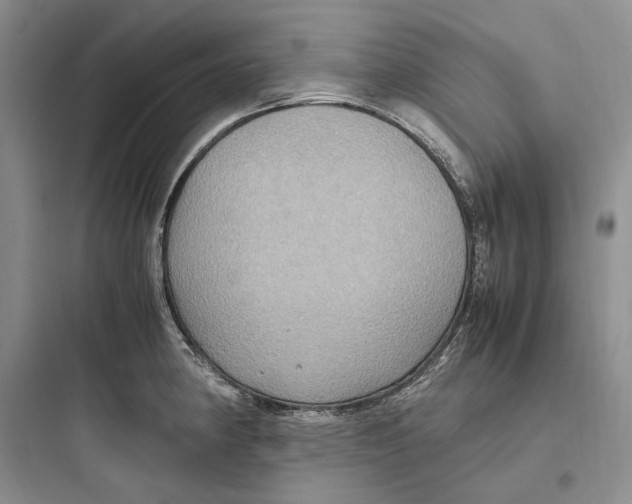 X0000097601190200803211652