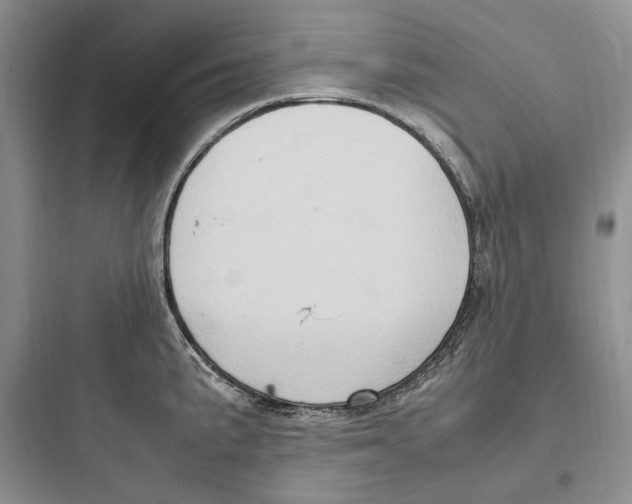 X0000097601191200803211652