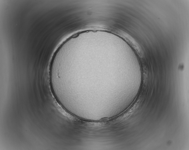 X0000097601192200803211652
