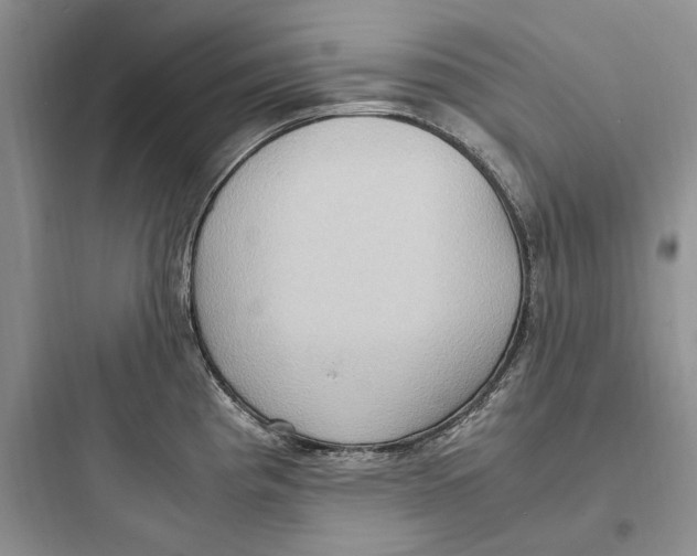 X0000097601193200803211652