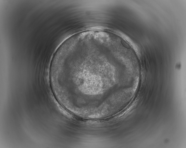 X0000097601194200803211652