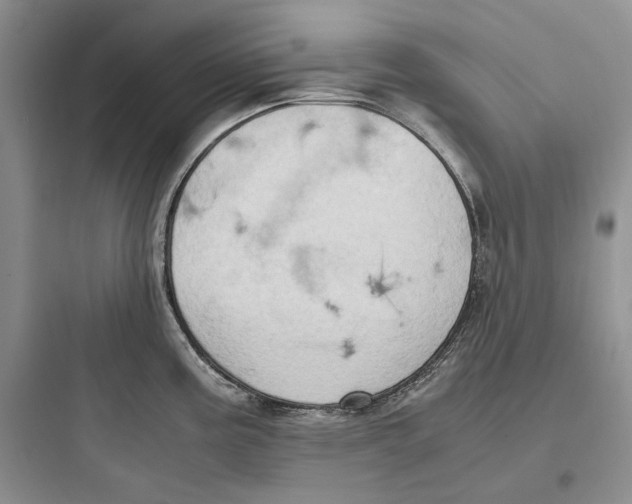 X0000097601195200803211652