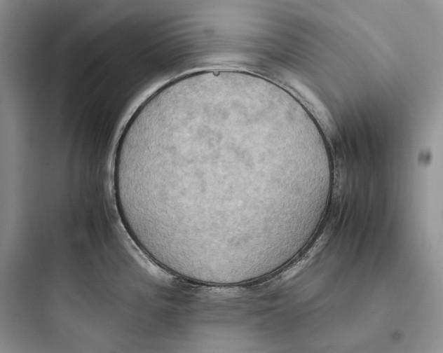 X0000097601196200803211652
