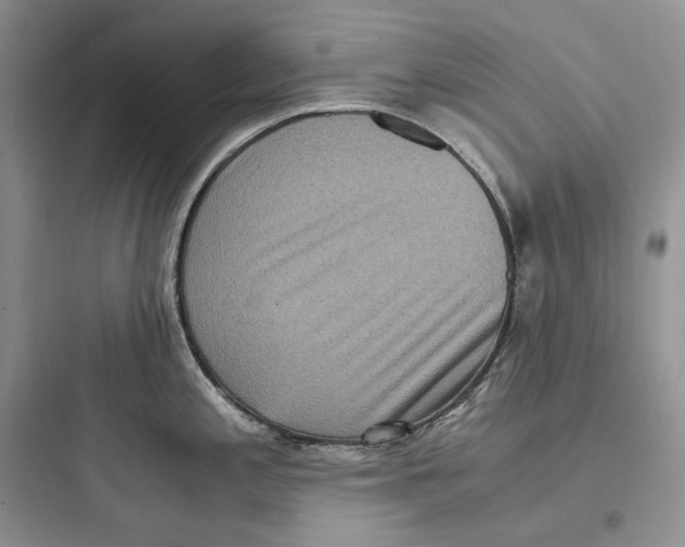 X0000097601197200803211652