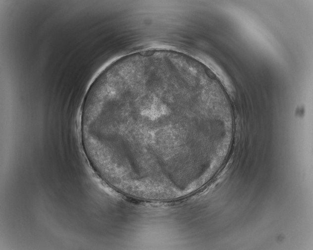 X0000097601198200803211652