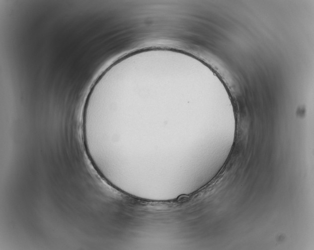 X0000097601199200803211652