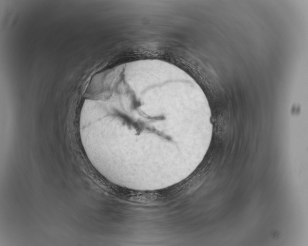 X0000097601201200803211651